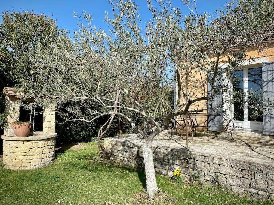 Belle Maison Provencale Au Pied Du Mont Ventoux Caromb Eksteriør billede