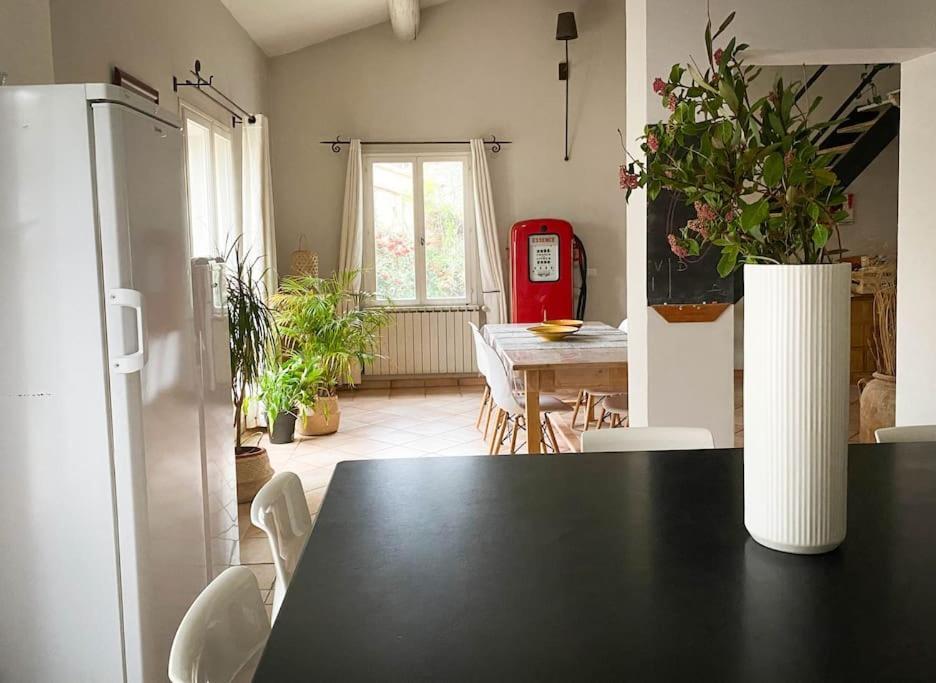 Belle Maison Provencale Au Pied Du Mont Ventoux Caromb Eksteriør billede
