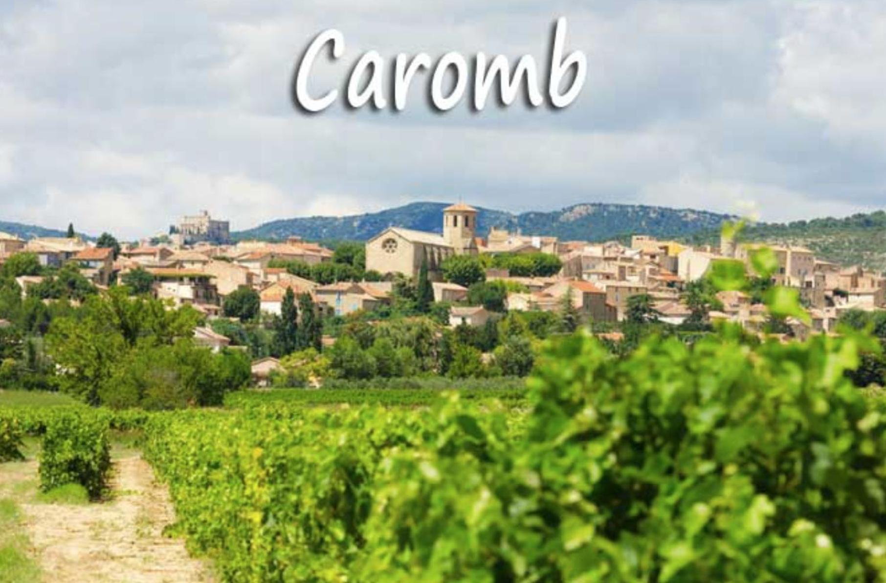 Belle Maison Provencale Au Pied Du Mont Ventoux Caromb Eksteriør billede